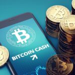 Bitcoin Cash Nedir?