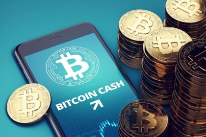 Bitcoin Cash Nedir?