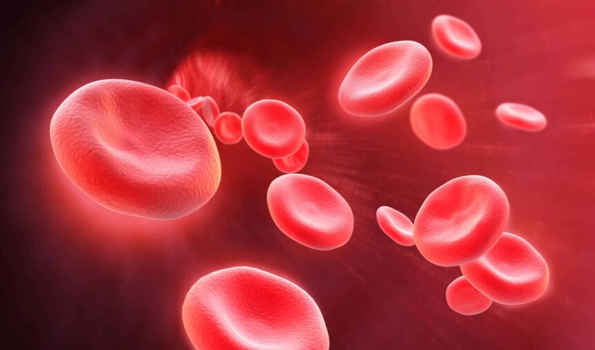 MCHC Nedir? Neden yükselir? MCHC Ne Kadar Olmalı? • Nen Var